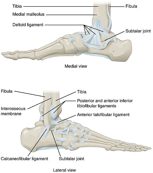 Symptoms and Treatment for a Broken Ankle